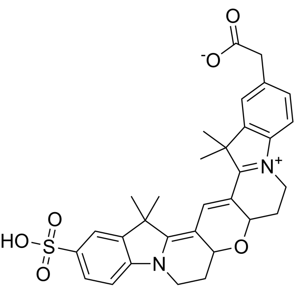 Cy3B 228272-69-3